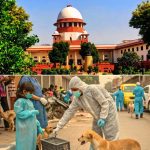 PM मोदी का अमेरिका मिशन: UNGA सत्र में शामिल होने की संभावना, ट्रंप से मुलाकात पर भी नजरें